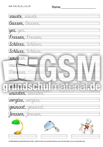 DSS_2S_Bu_s_Nr_08.pdf